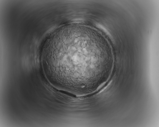 X0000089731403200707051730