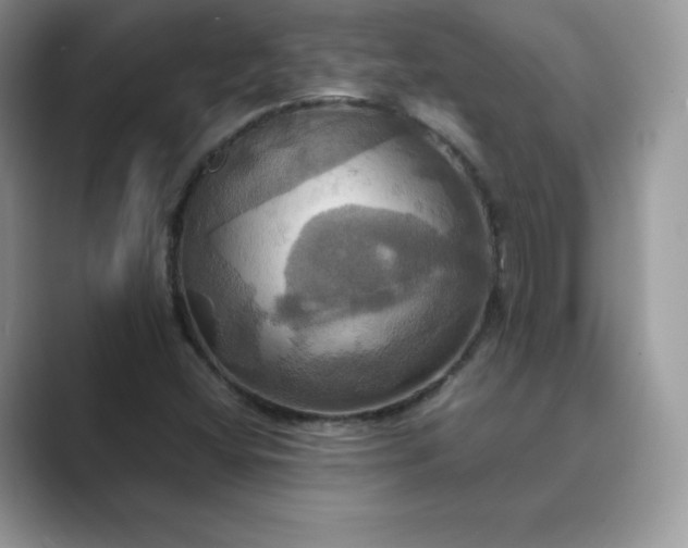 X0000089731404200707051730