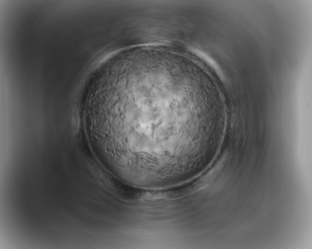 X0000089731407200707051730