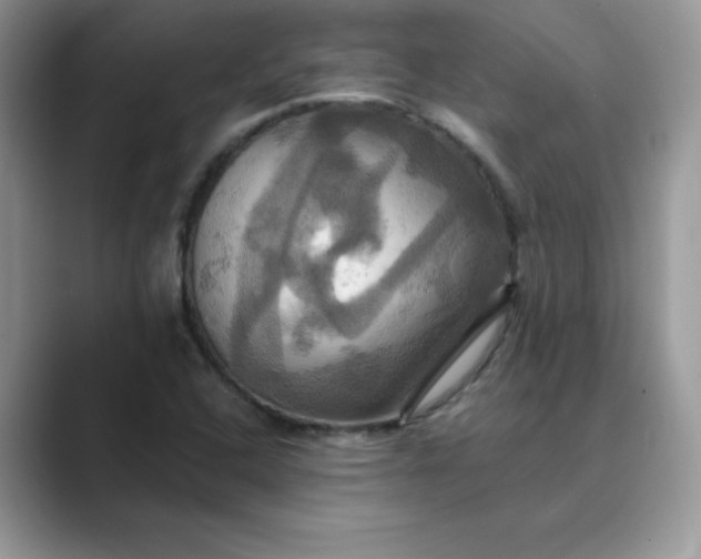 X0000089731408200707051730