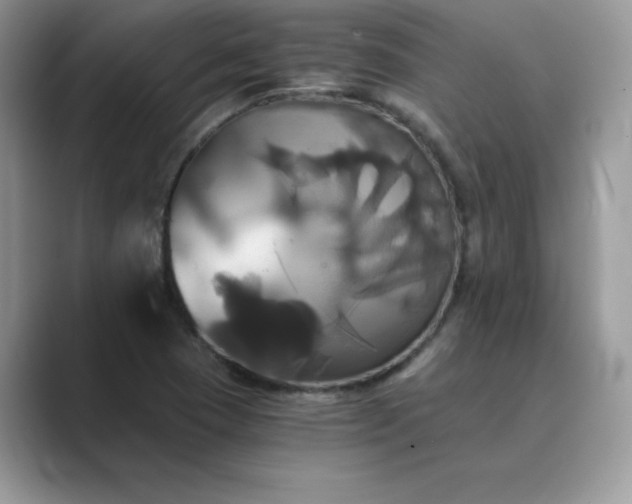X0000089731409200707051730