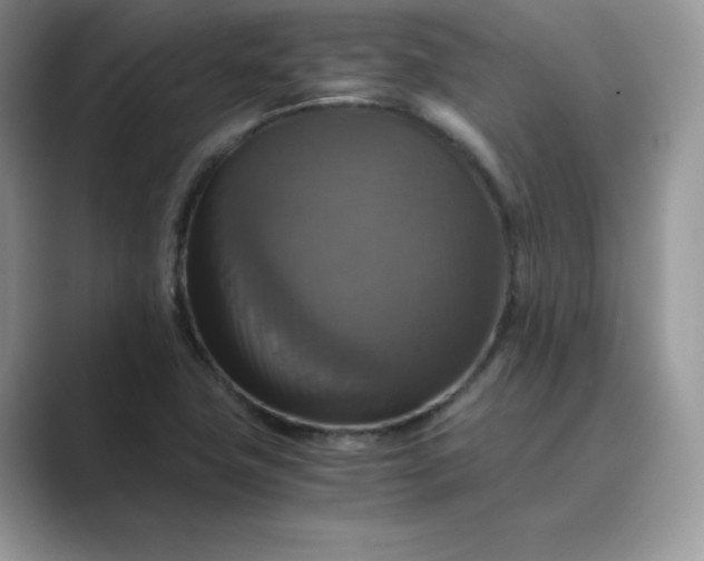 X0000089731411200707051730