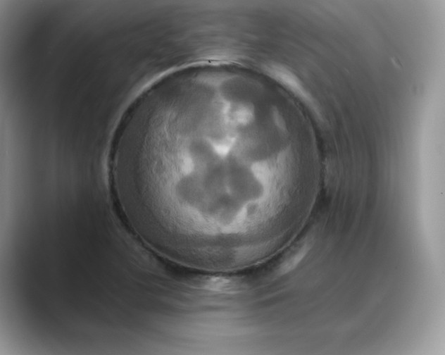 X0000089731412200707051730