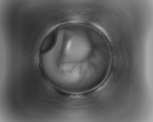 X0000089731415200707051730