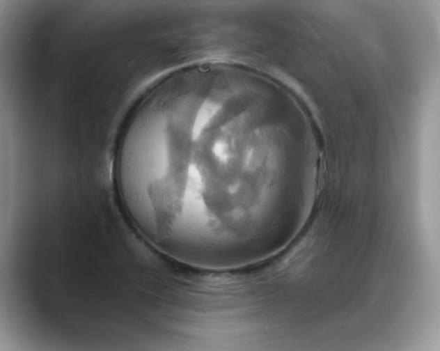 X0000089731416200707051730