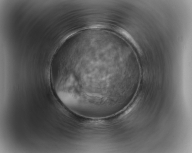 X0000089731417200707051730