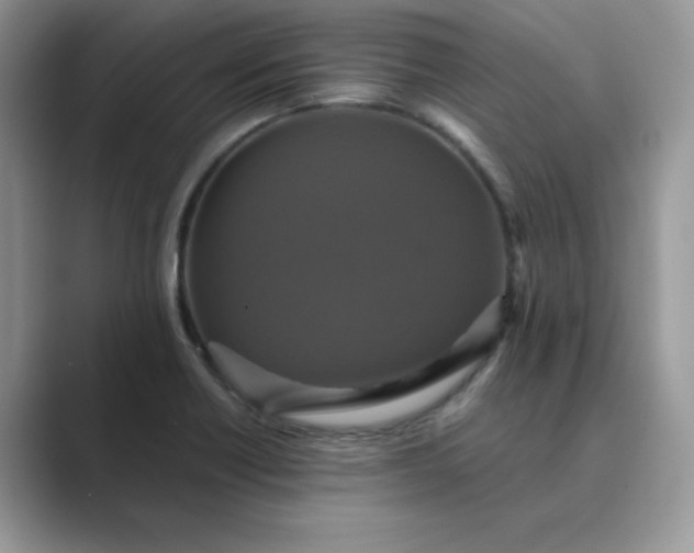 X0000089731418200707051730