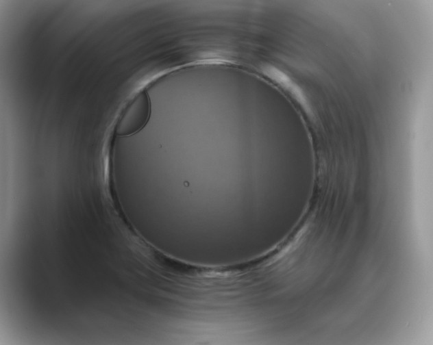 X0000089731419200707051730
