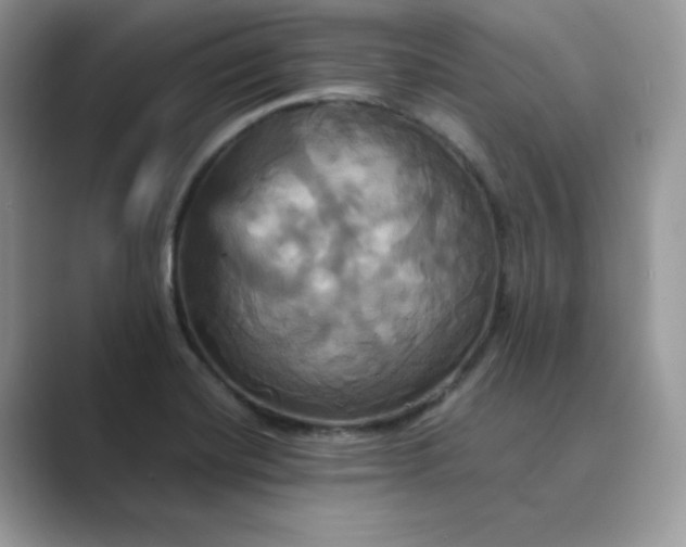 X0000089731420200707051730