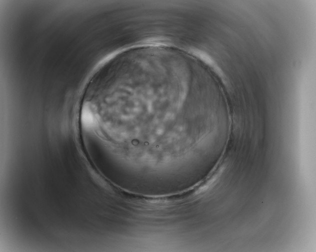 X0000089731421200707051730