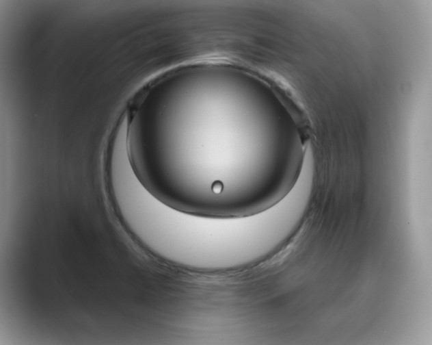 X0000089731422200707051730