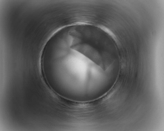 X0000089731423200707051730