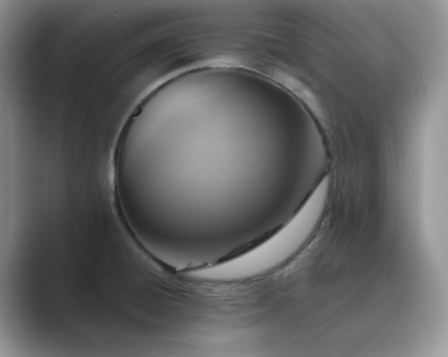 X0000089731428200707051730