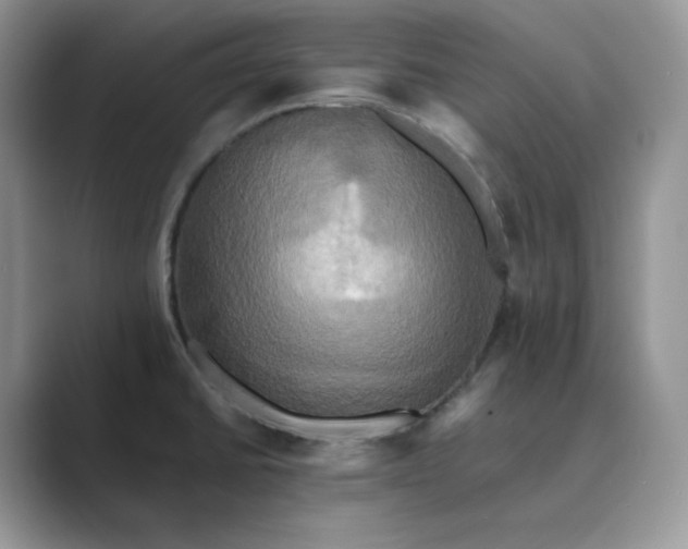 X0000089731430200707051730