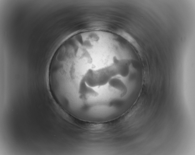X0000089731431200707051730