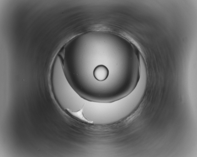 X0000089731434200707051730