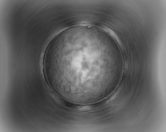 X0000089731435200707051731