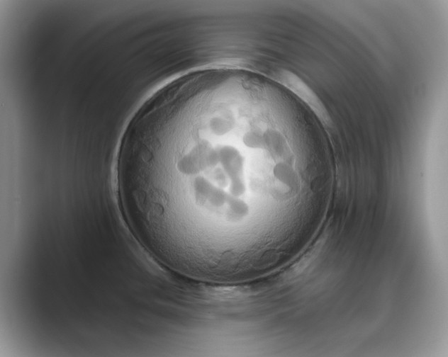 X0000089731436200707051731