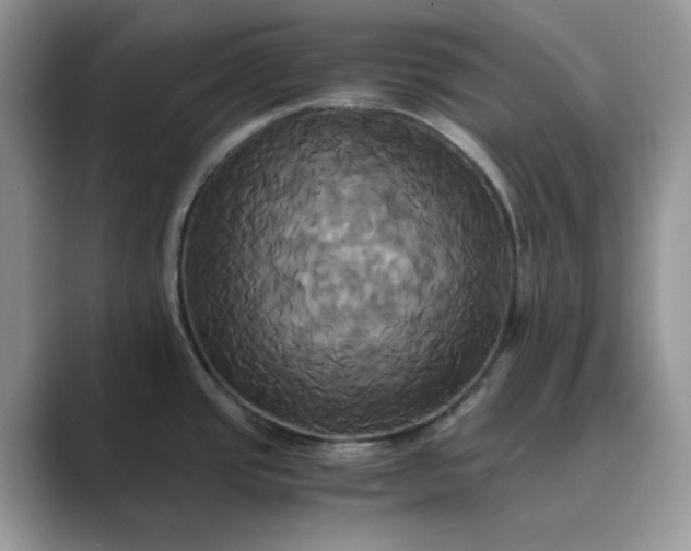 X0000089731437200707051731