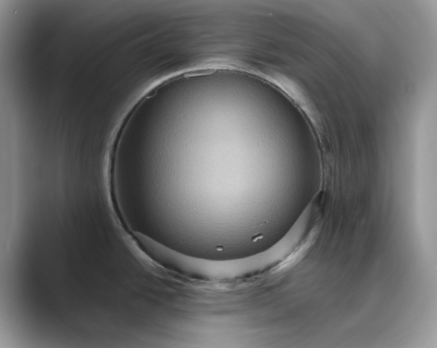 X0000089731438200707051731