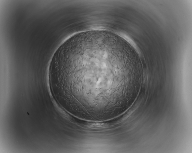 X0000089731439200707051731