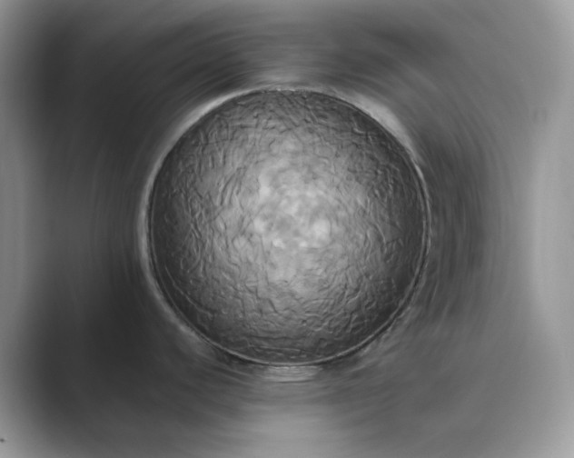 X0000089731440200707051731