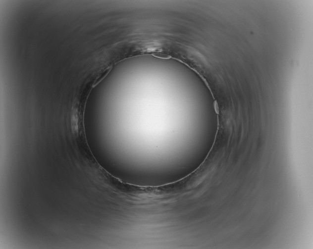 X0000089731442200707051730