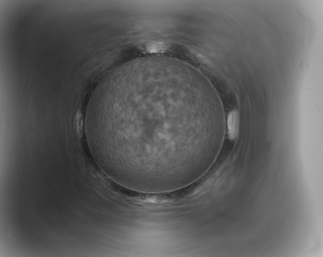 X0000089731443200707051730