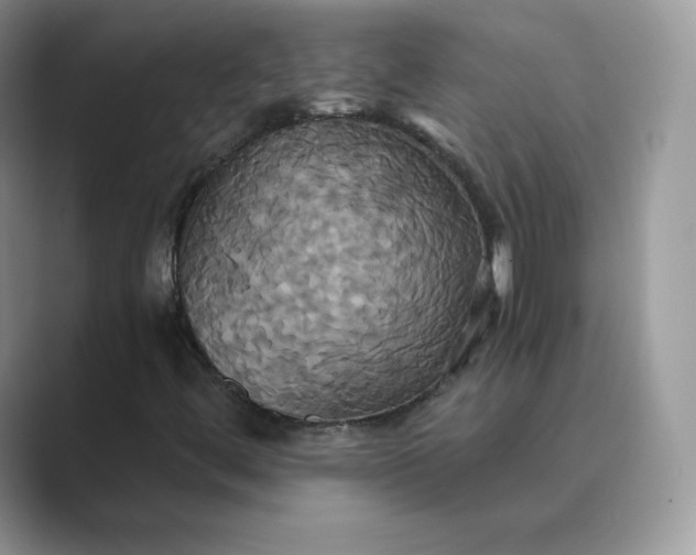 X0000089731444200707051730