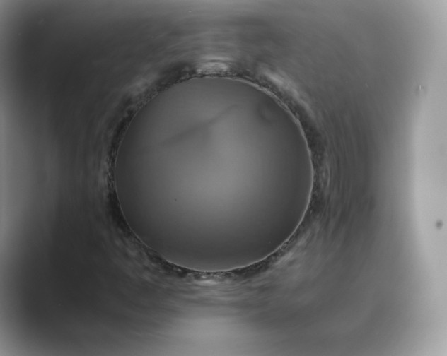 X0000089731445200707051730