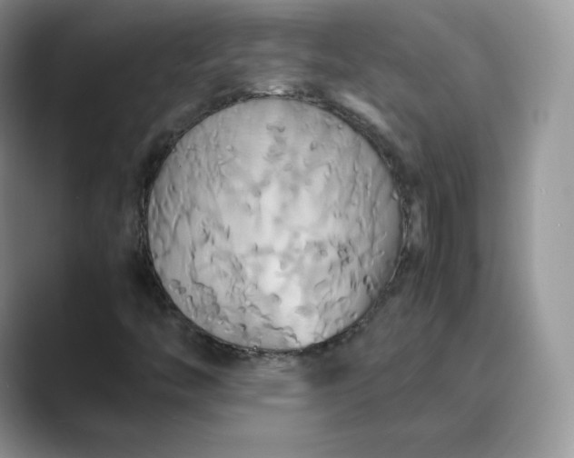 X0000089731446200707051730