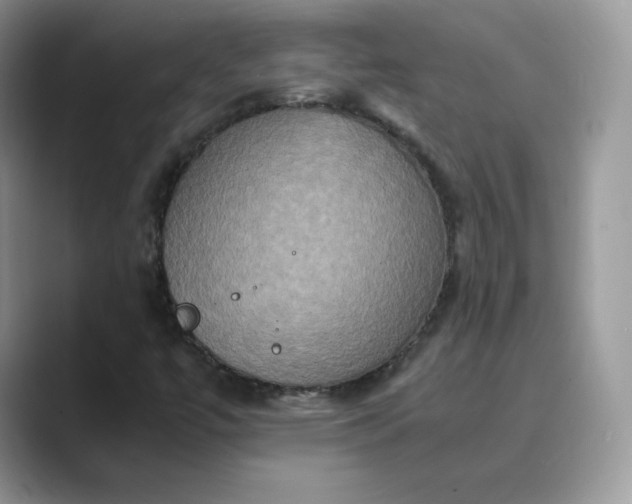 X0000089731447200707051730