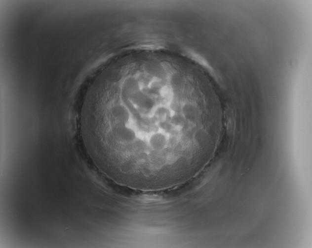 X0000089731448200707051730