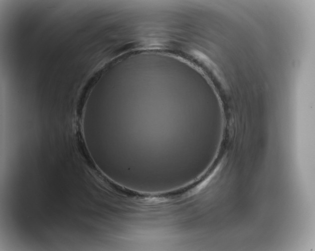 X0000089731449200707051730