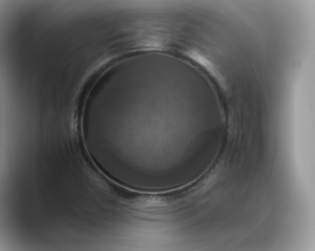 X0000089731450200707051730