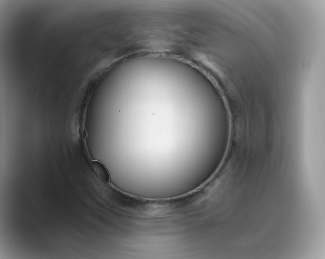X0000089731451200707051730