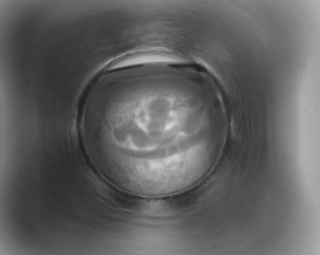 X0000089731452200707051730
