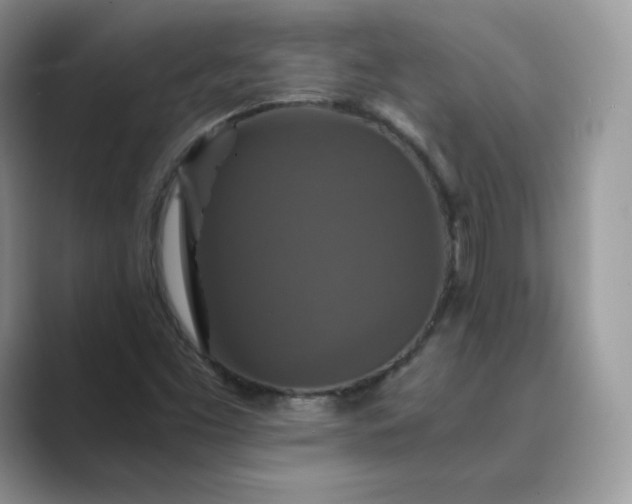 X0000089731453200707051730