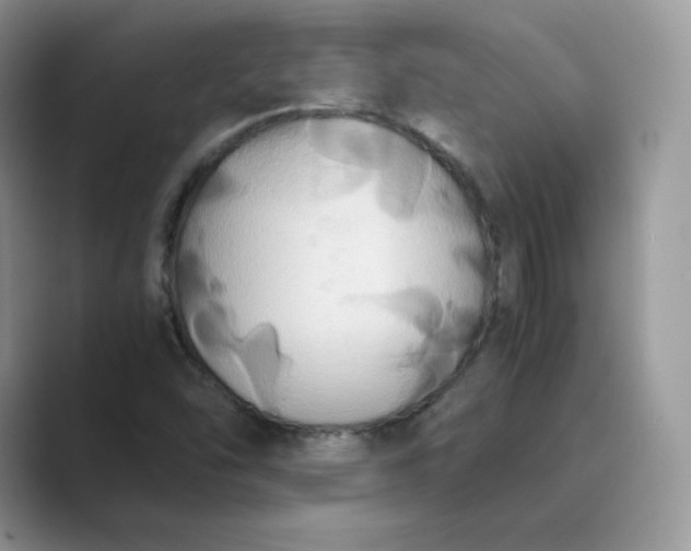 X0000089731454200707051730