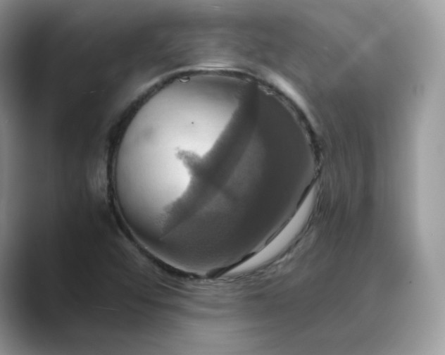 X0000089731456200707051730
