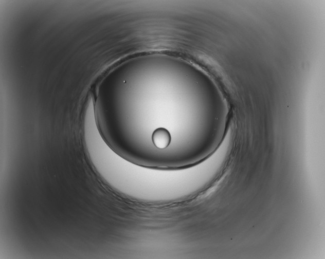 X0000089731457200707051730