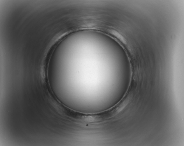 X0000089731458200707051730