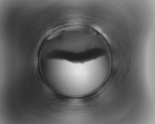 X0000089731459200707051730