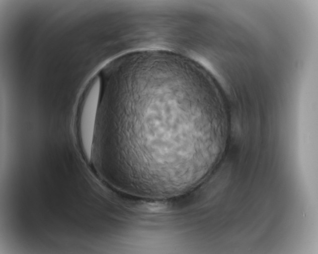 X0000089731460200707051730