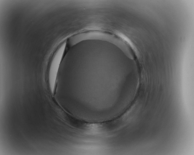 X0000089731461200707051730