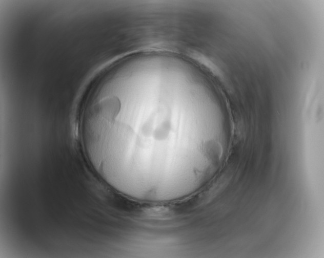 X0000089731462200707051730