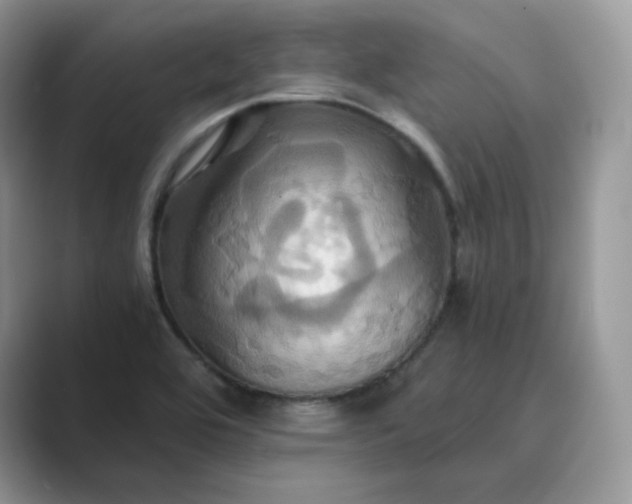 X0000089731464200707051730