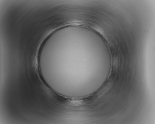 X0000089731466200707051730