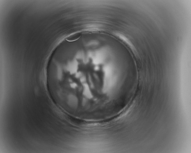 X0000089731467200707051730