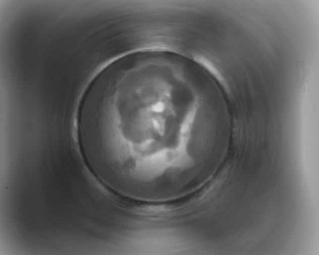 X0000089731468200707051730